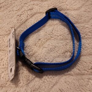 NWT! Reflective Vibrant Life Dog Collar Sz Medium
